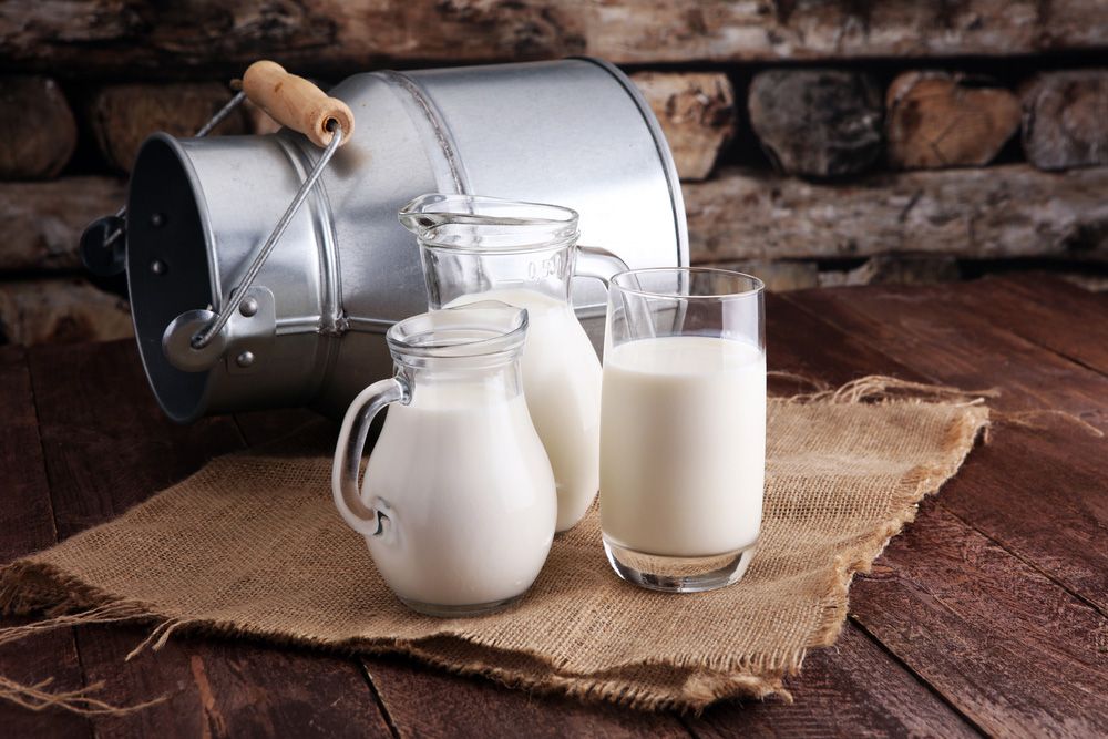Protein Tozu Nasıl Üretilir? Takviyelik Blog Fotoğrafı